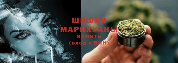молекула духа Козельск
