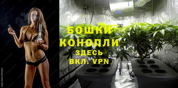 крисы Козловка