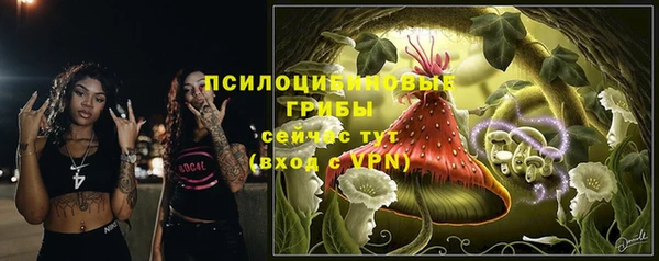 ешки Пролетарск