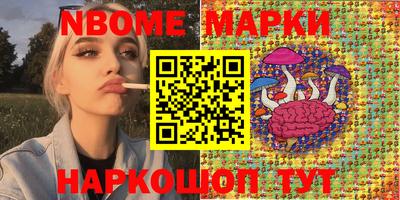 стафф Дубна