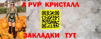 стафф Дубна