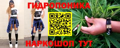 стафф Дубна