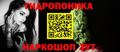 гашик Донецк