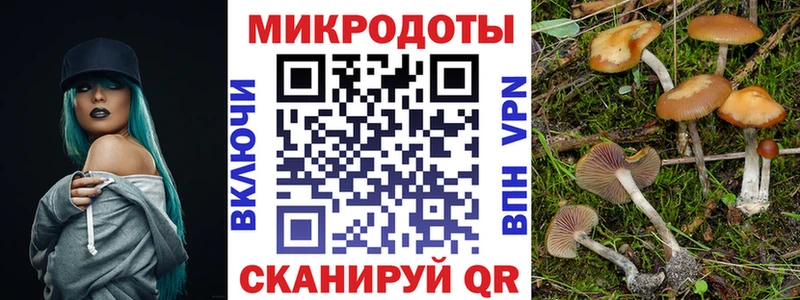 Галлюциногенные грибы GOLDEN TEACHER  магазин продажи наркотиков  Майский 