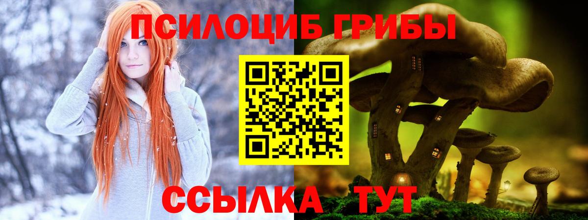 Галлюциногенные грибы GOLDEN TEACHER Майский